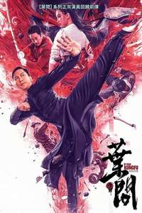 Ip Man: Kung Fu Master - Poster