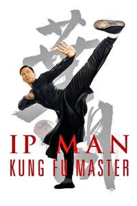 Ip Man: Kung Fu Master - Poster