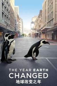 The Year Earth Changed - Poster