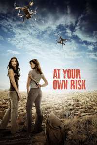 At Your Own Risk - Poster