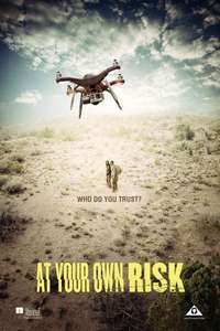 At Your Own Risk - Poster