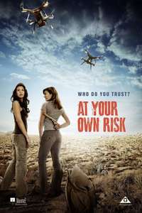 At Your Own Risk - Poster
