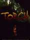 Torch