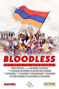 Bloodless: The Path to Democracy - Poster