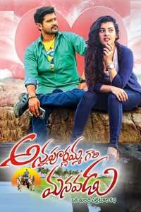 Annapurnamma Gari Manavadu - Poster