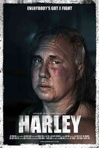 Harley - Posters