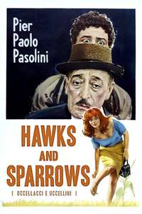 Hawks and Sparrows - Poster