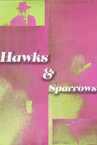 Hawks and Sparrows - Poster
