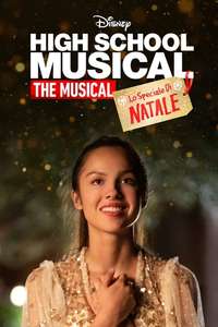 High School Musical: The Musical: The Holiday Special - Posters