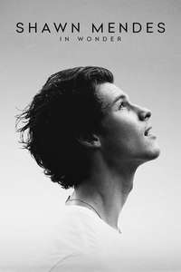 Shawn Mendes: In Wonder - Posters