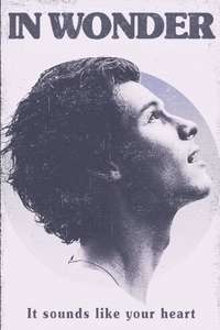 Shawn Mendes: In Wonder - Posters
