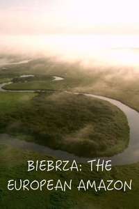 Biebrza: The European Amazon - Posters