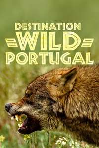 Wild Portugal - Posters