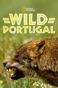 Wild Portugal - Posters