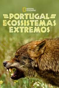 Wild Portugal - Posters