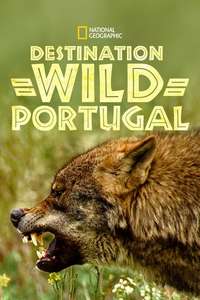 Wild Portugal - Posters