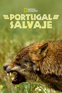 Wild Portugal - Posters