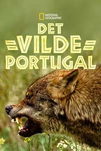 Wild Portugal - Posters