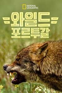Wild Portugal - Posters