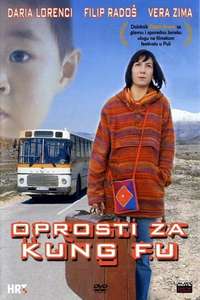 Sorry for Kung Fu - Poster