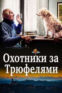 The Truffle Hunters - Poster