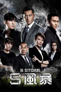 S Storm - Poster