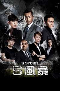 S Storm - Poster