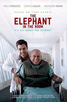 The Elephant In The Room