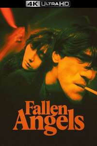 Fallen Angels - Poster