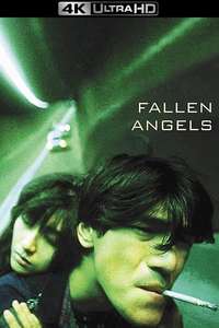 Fallen Angels - Poster