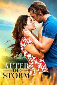 After the Storm - Poster
