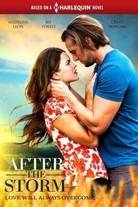 After the Storm - Poster