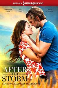 After the Storm - Poster
