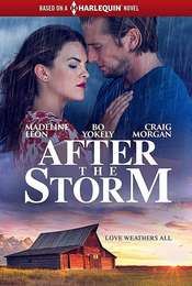 After the Storm