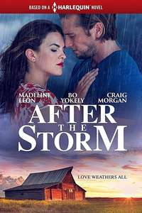 After the Storm - Poster