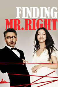 Finding Mr. Right - Poster