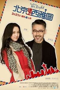 Finding Mr. Right - Poster