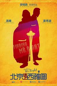 Finding Mr. Right - Poster