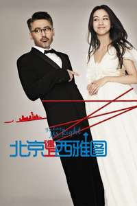 Finding Mr. Right - Poster