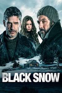 Black Snow - Poster