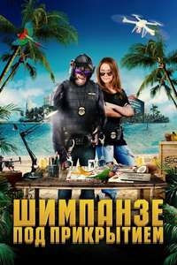 C.I.Ape - Poster
