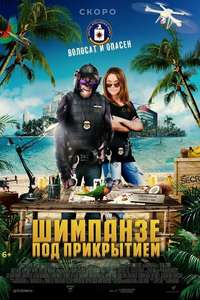 C.I.Ape - Poster