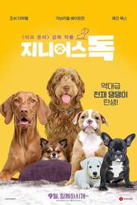 Think Like a Dog - Poster
