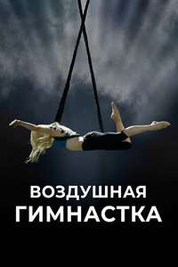 The Aerialist - Poster