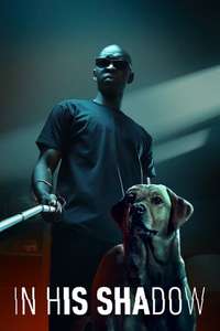 In His Shadow - Poster