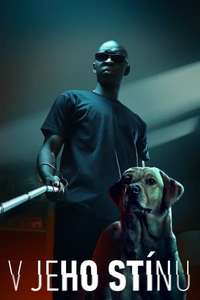 In His Shadow - Poster