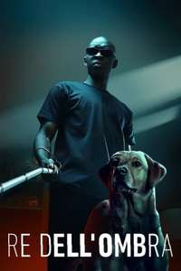 In His Shadow - Poster