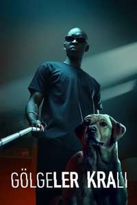 In His Shadow - Poster