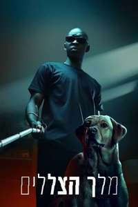 In His Shadow - Poster