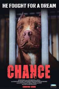 Chance - Posters